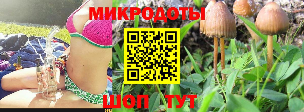 Галлюциногенные грибы прущие грибы  Вход с VPN  Рославль  Галлюциногенные грибы Cubensis 